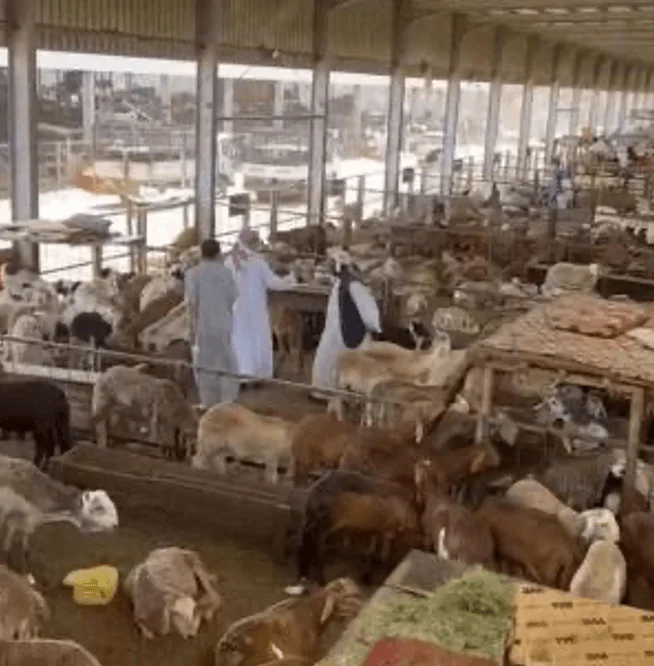 Screenshot 2025-05-16 at 2.41.21 PM